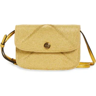 Etro Essential Raffia Crossbody Bag In Gold