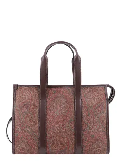 Etro Handbag In Brown