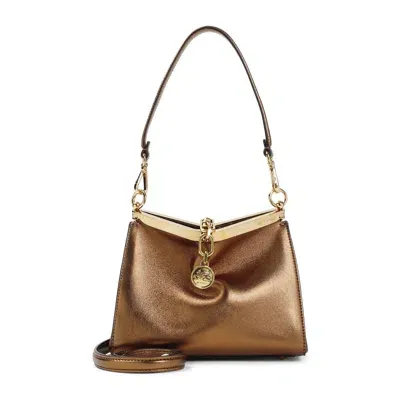 Etro Handbag In Brown