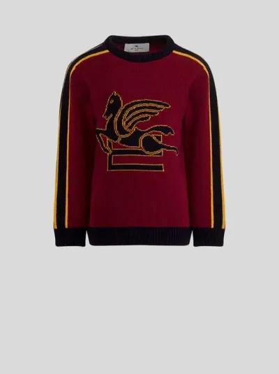 Etro Jumper For Children In Brown