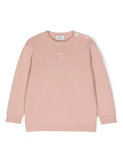 Etro Babies' Pegaso Embroidery Sweater In Pink