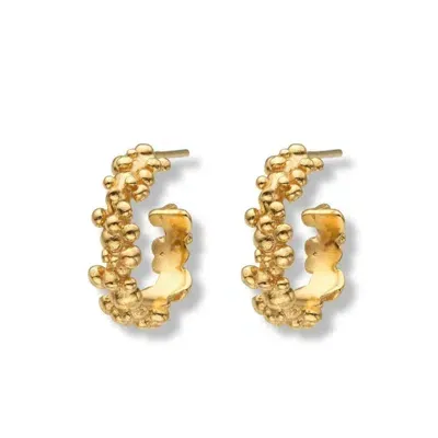 Eva Remenyi Women's Céleste Deux Small Hoop Earrings Gold