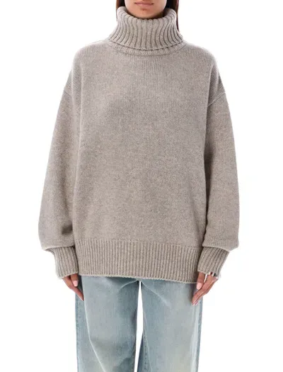 Extreme Cashmere Nisse Turtleneck Cashmere Sweater In Grey