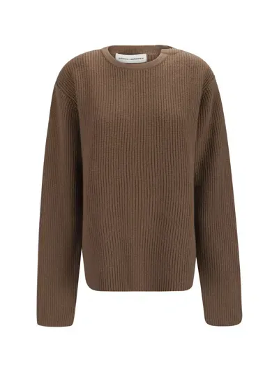 Extreme Cashmere Sweater In Brown