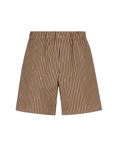 Fendi Pequin Poplin Shorts In Brown