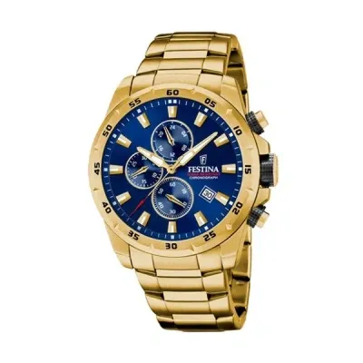 Festina Watches Mod. F20541/2 In Gold