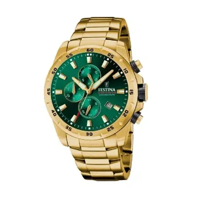 Festina Watches Mod. F20541/3 In Gold