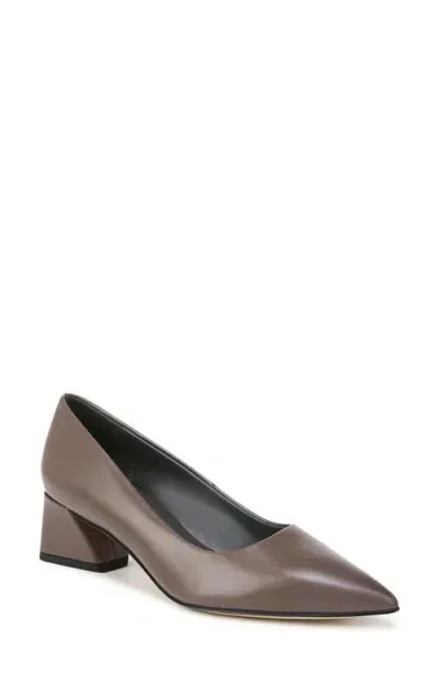 Franco Sarto Racer Pointed Toe Pump In Brown