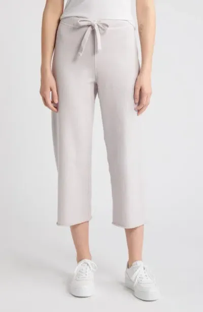 Frank & Eileen Catherine Crop Wide Leg Sweatpants In Silver Sage