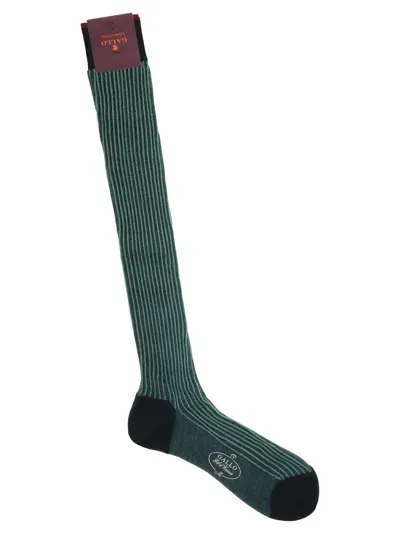 Gallo Cotton Long Socks In Green