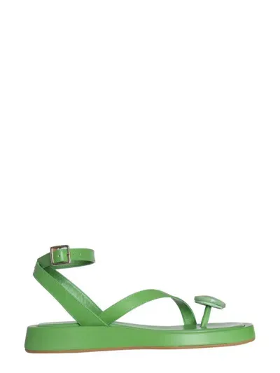 Gia Borghini Buckle-fastening Open-toe Sandals In Green