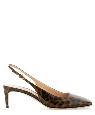 Gianvito Rossi Christina Pumps In Brown