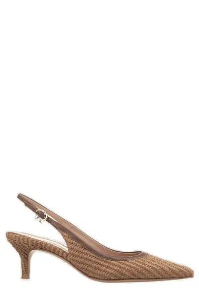 Gianvito Rossi Marbella Pointed Toe Slingback Pumps In Brown