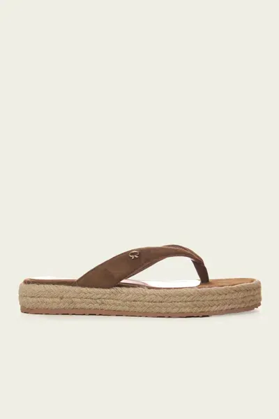 Gianvito Rossi Raffia Suede Leather Flip Flops In Texas Natural In Brown