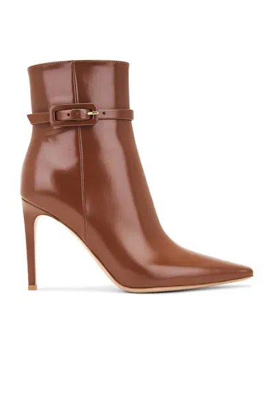 Gianvito Rossi Tokio Ankle Boot In Havana