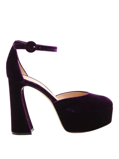 Gianvito Rossi Purple Velvet Holly Dorsay Pumps