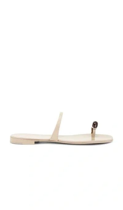 Giuseppe Zanotti Ganass 10 Sandal In Taupe