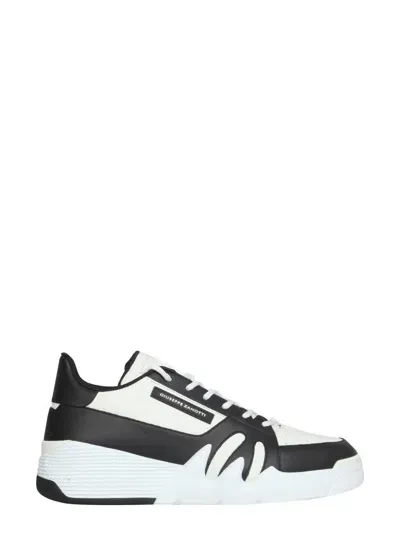 Giuseppe Zanotti Sneaker In Black/white