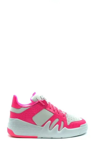 Giuseppe Zanotti Sneakers In White/pink