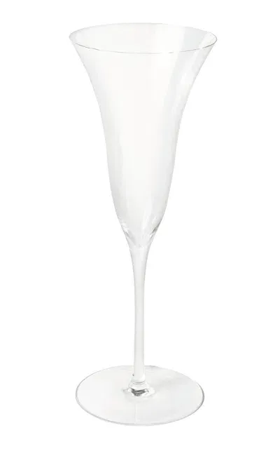 Gohar World Calla Champagne Glass In Transparent