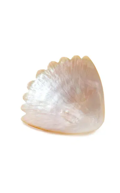 Gohar World Coquille Dish; Mother Of Pearl In Multi