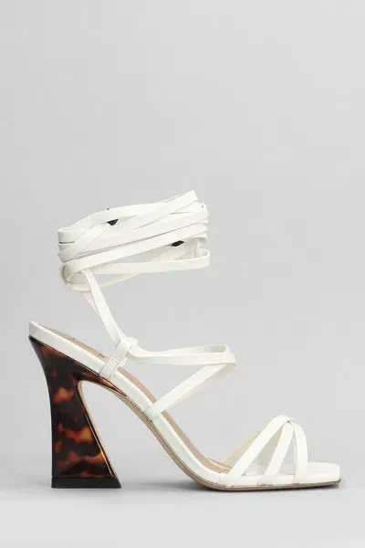 Gold & Rouge Sandals In White