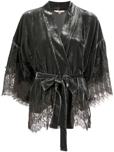 Goldhawk Velvet Short Kimono In Grey