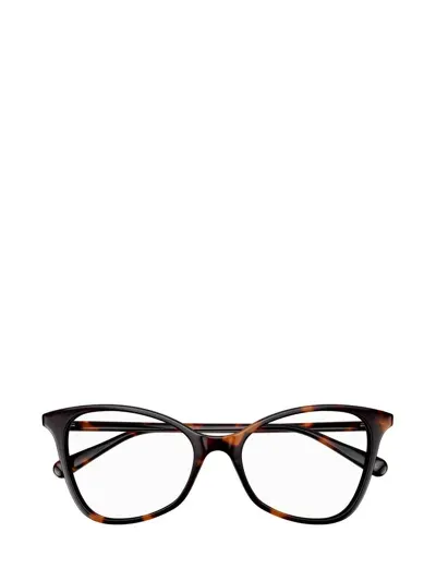 Gucci Cat Eye Frame Glasses In 002 Havana Havana Transpa