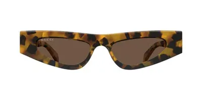 Gucci Eyewear Cat In Multi