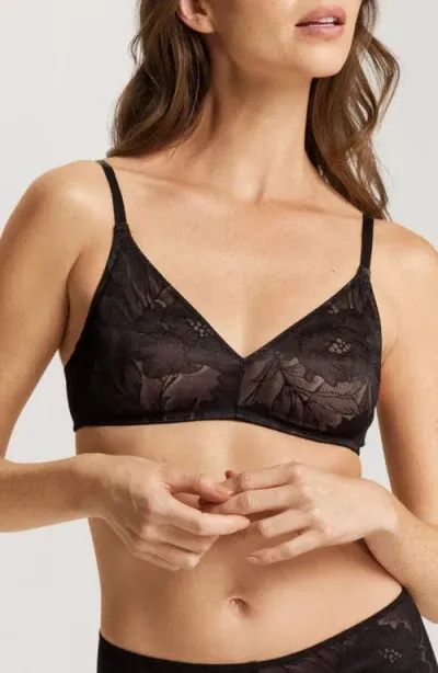 Hanro Tina Lace Soft Cup Bra In Black Beauty