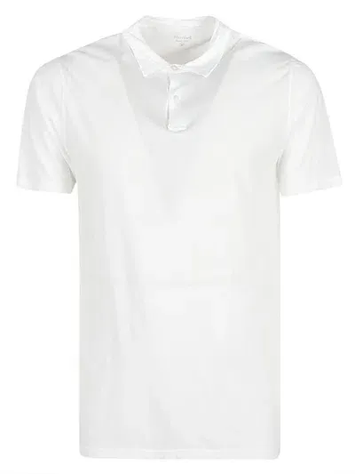 Hartford Cotton Polo Shirt In White