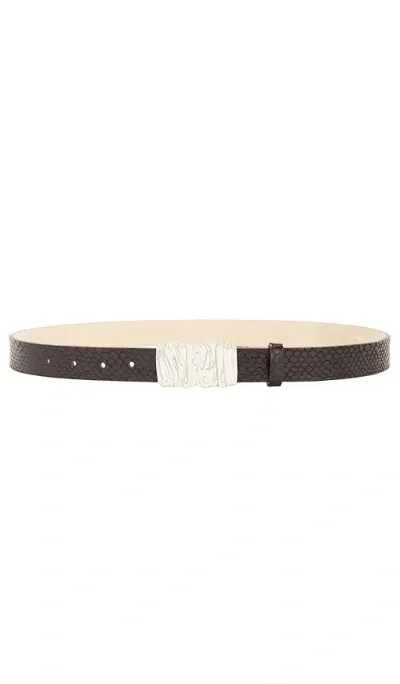 Heaven Mayhem Gaia Croc Belt In Silver & Brown