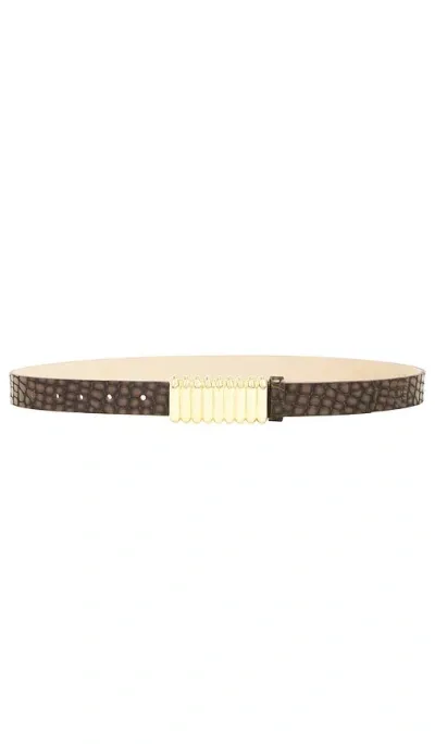 Heaven Mayhem Pebble Belt In 골드 & 브라운