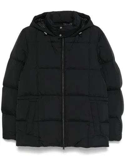 Herno Hooded Puffer Jacket In Black