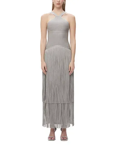 Herve Leger Kennedy Metallic Fringe Gown In Met Silver