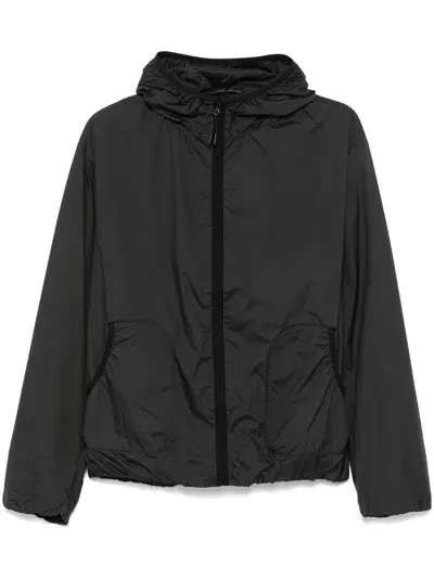 Hiking Patrol Windproof Hooded Jacket In Black