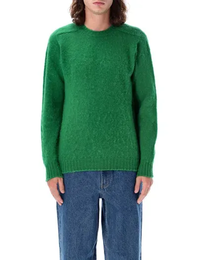 Howlin' Bear Sweater In Green