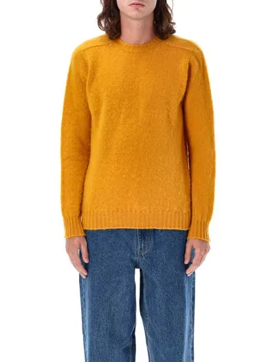 Howlin' Shaggy Bear Sweater In Yellow