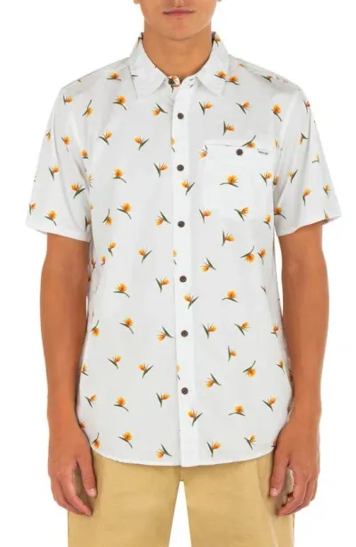 Hurley Windansea Short Sleeve Button-up Shirt In White 2