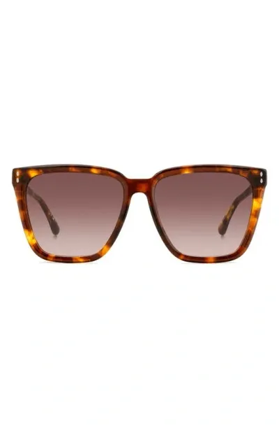 Isabel Marant Women's Im 0151/s Square Sunglasses In Havana