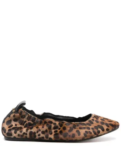 Isabel Marant Leopard-print Ballerina Shoes In Leopard Print