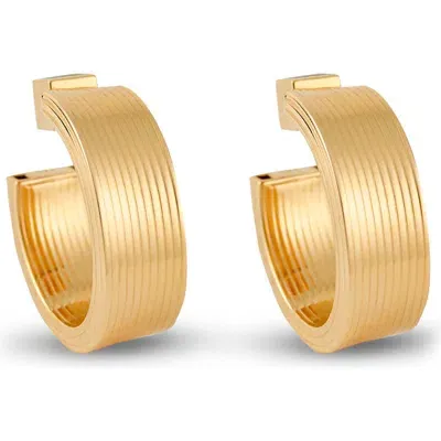 Ivi Los Angeles Medium Signora Hollow Hoop Earrings In Gold