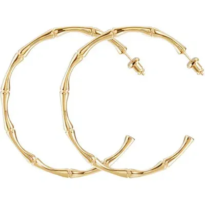 Jane Basch Designs Bamboo Hoop Earrings In Gold