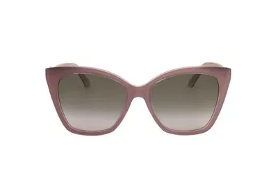 Jimmy Choo Eyewear Rua Cat In Brown