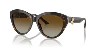 Jimmy Choo Mod. Jc 5007 In Brown