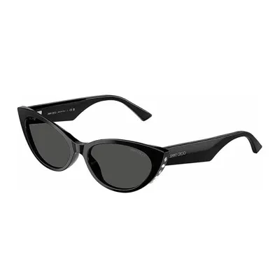 Jimmy Choo Sunglasses In Black