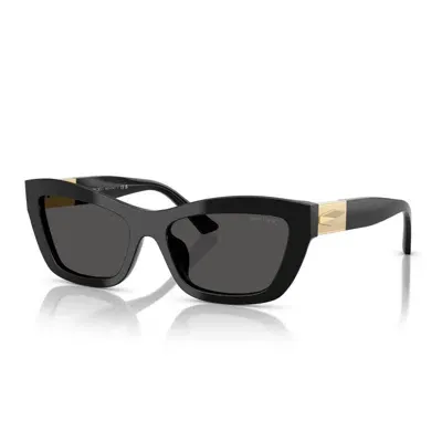 Jimmy Choo Sunglasses In Black