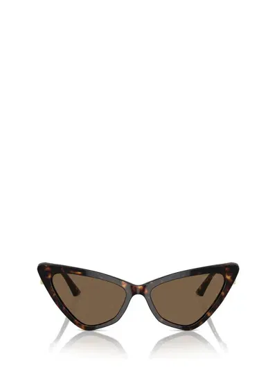 Jimmy Choo Sunglasses In Brown