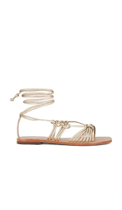 Kaanas Coba Sandal In 金色