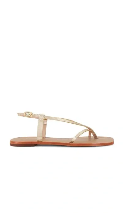 Kaanas Cristobal Sandal In Gold